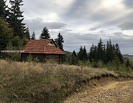 Ділянка 25 сотиків під будівництво в с. Буковець + будиночок